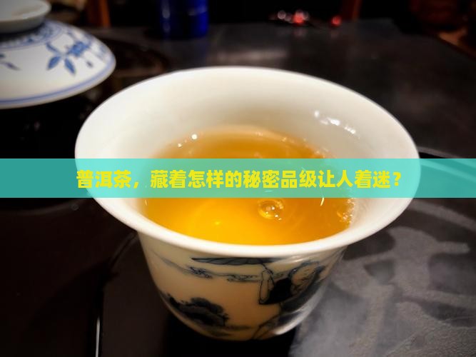 普洱茶属于什么品级的茶