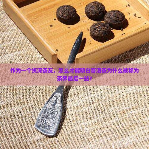 为什么普洱茶是最后一站