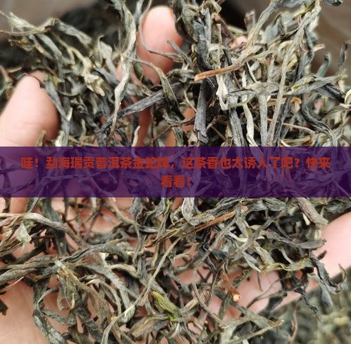 勐海瑞贡普洱茶金蛇牌