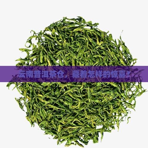 云南普洱茶仓特价