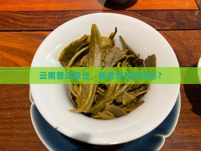 云南普洱茶仓特价