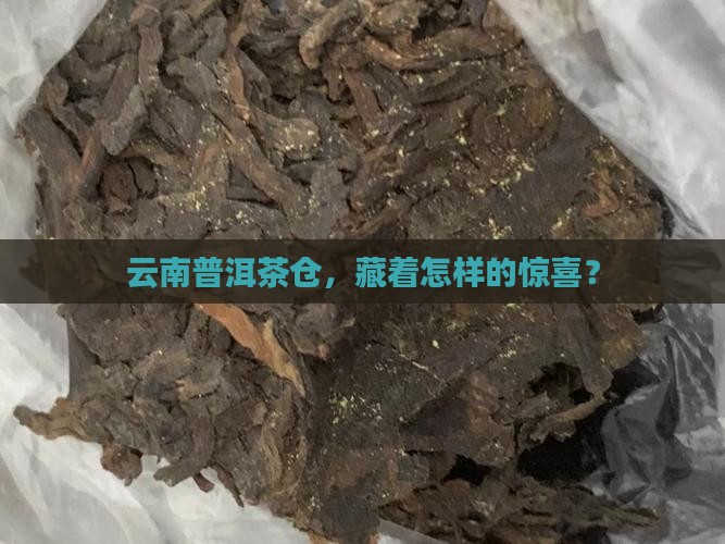 云南普洱茶仓特价