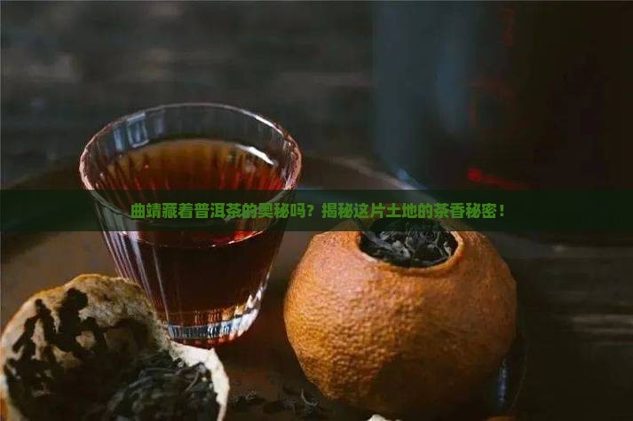 曲靖产普洱茶吗