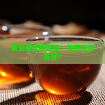 熟普洱茶散茶和茶饼