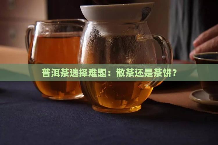 熟普洱茶散茶和茶饼
