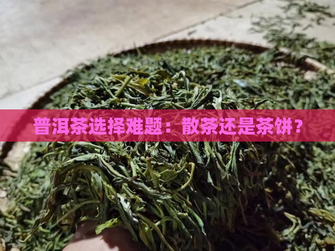 熟普洱茶散茶和茶饼