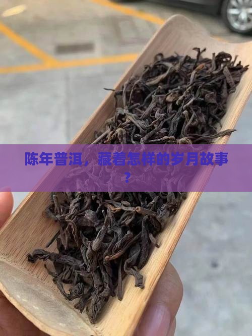 陈年普洱茶怎么