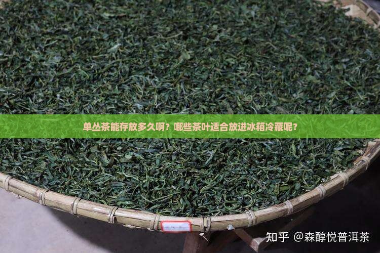 单丛茶能放多久什么茶叶适合冷藏