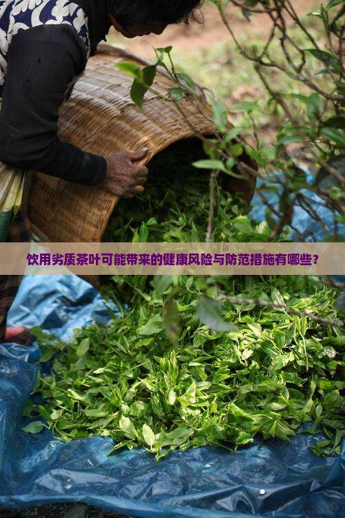 喝劣质茶的危害