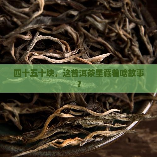四十五十块钱的普洱茶