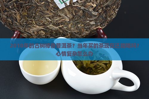 2010年古树樟香普洱茶
