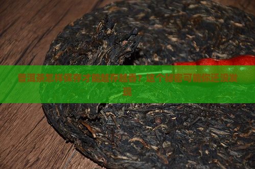 普洱茶怎么保存最有潜力