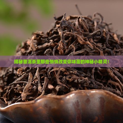 普洱茶神奇的微生物