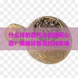 好的普洱茶是什么气味