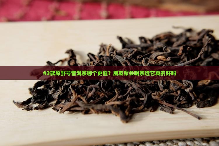 原野号普洱茶价格