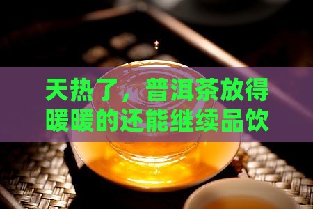 普洱茶保存温度高温还能喝吗