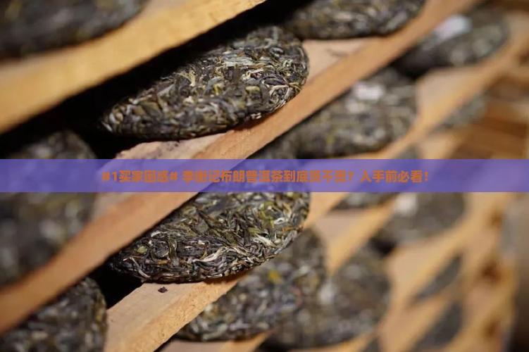 李衡记布朗普洱茶价格