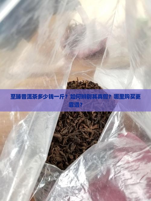 至臻普洱茶多少钱