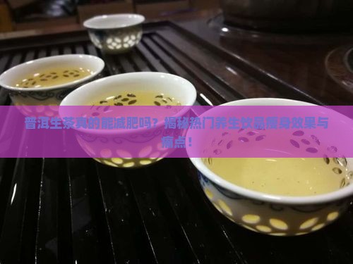 普洱生茶有减肥作用吗