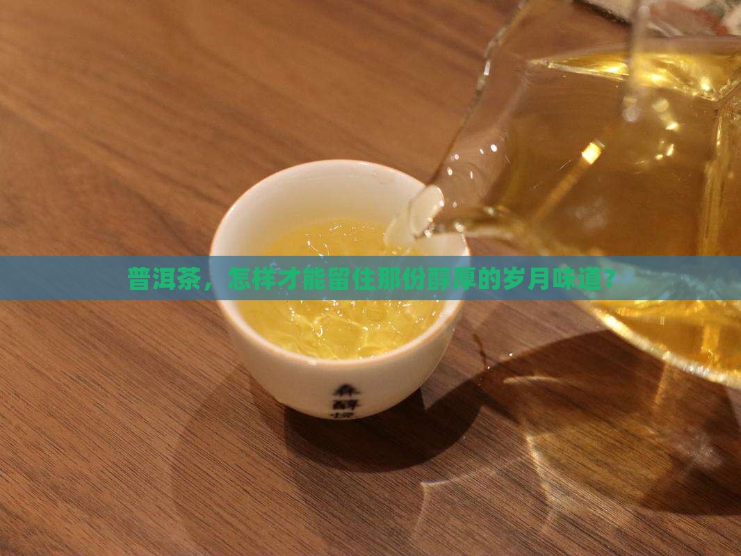 普洱茶怎样保存啊