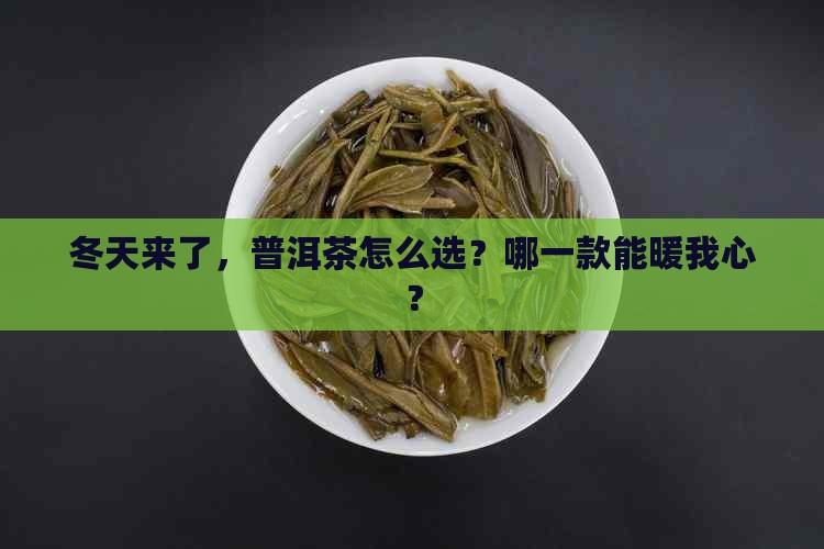 普洱茶冬季喝哪一款比较好