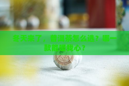 普洱茶冬季喝哪一款比较好