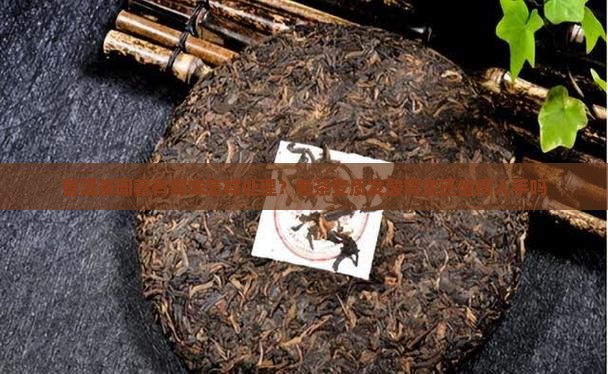 普洱茶闻着有霉味怎样处理