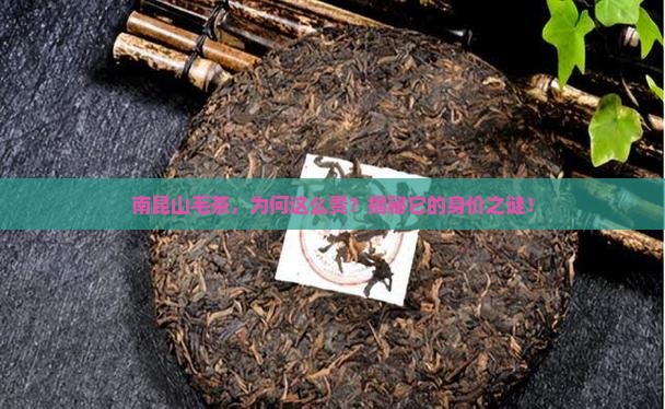 南昆山毛茶价格