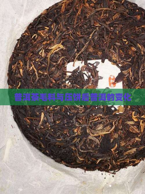 普洱茶毛料和压饼后的变化