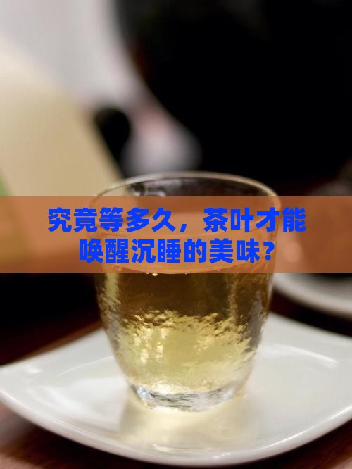 茶叶醒茶要多久