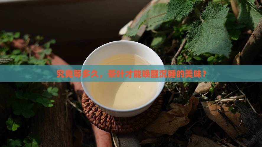 茶叶醒茶要多久