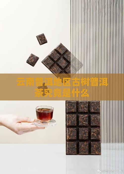 古树型普洱茶是什么