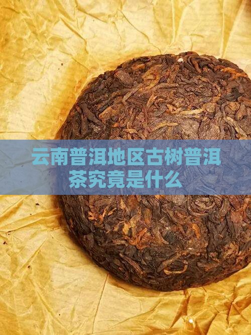 古树型普洱茶是什么