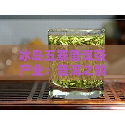 冰岛五寨普洱茶产业