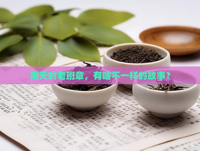 雨天不一样的老班章