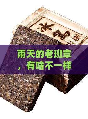 雨天不一样的老班章