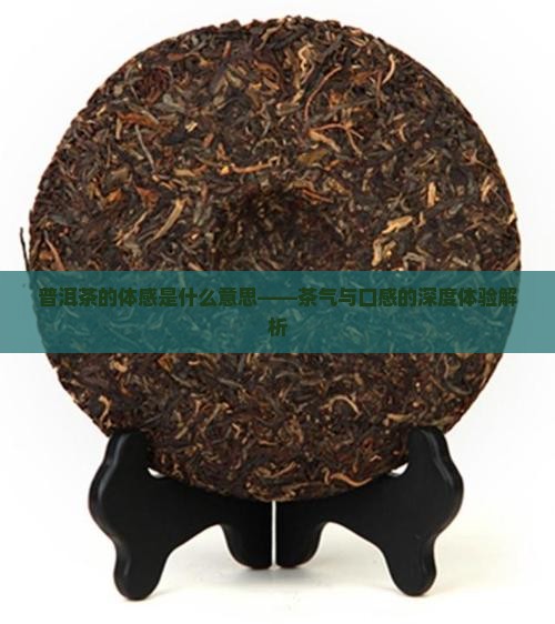 普洱茶的体感是什么意思