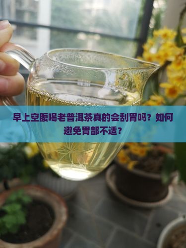早上喝老普洱茶刮胃么