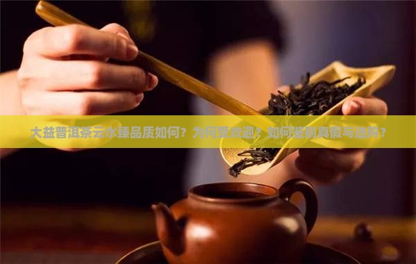 大益普洱茶云水臻
