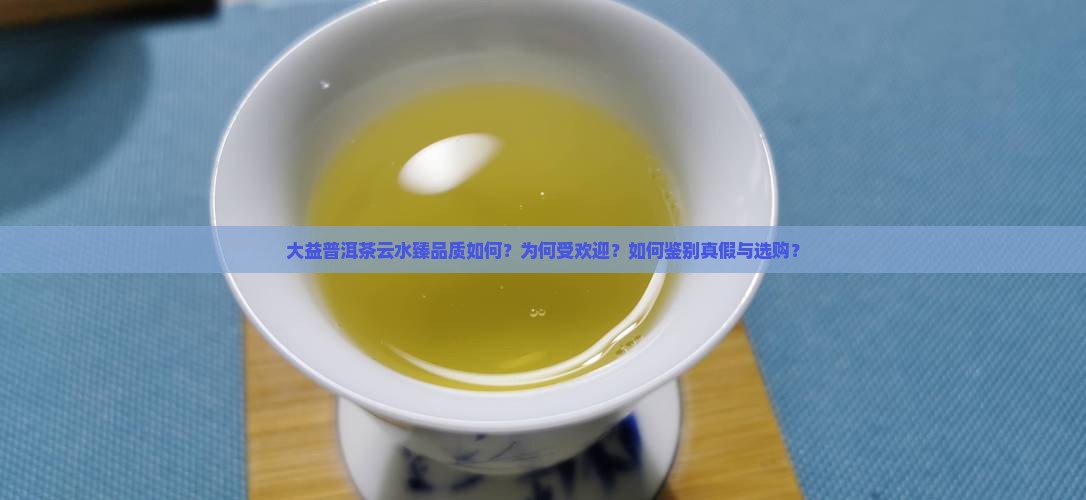 大益普洱茶云水臻