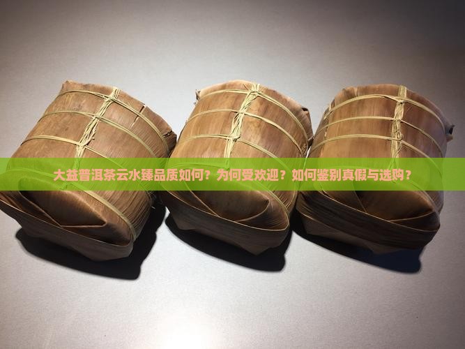 大益普洱茶云水臻