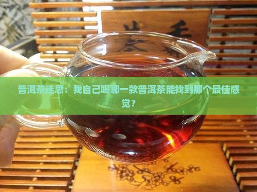自喝普洱茶哪个好