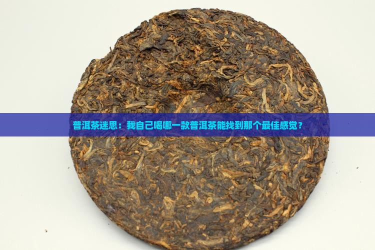 自喝普洱茶哪个好