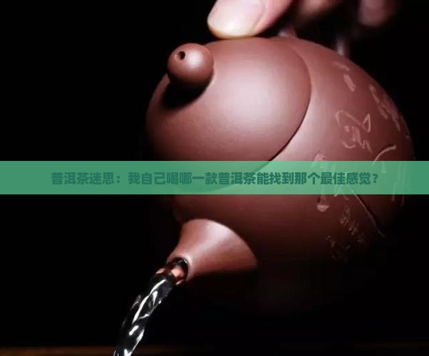 自喝普洱茶哪个好