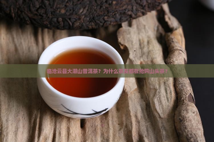临沧云县大潮山普洱茶