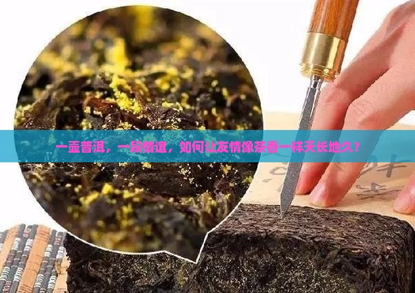以茶会友天长地久普洱茶