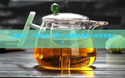 以茶会友天长地久普洱茶