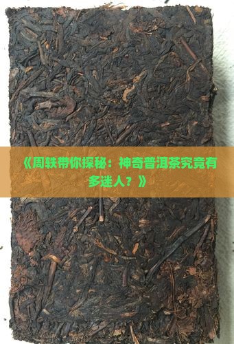 周轶讲神奇普洱茶