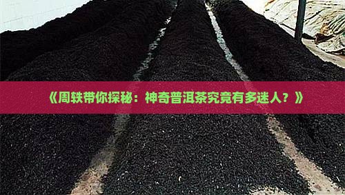 周轶讲神奇普洱茶
