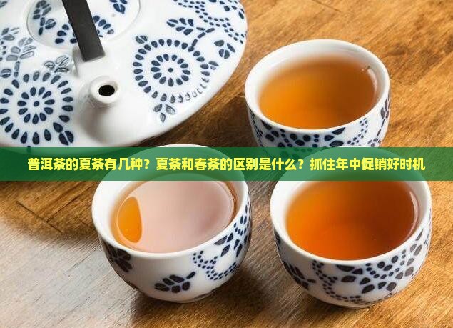 普洱茶的夏茶有几种